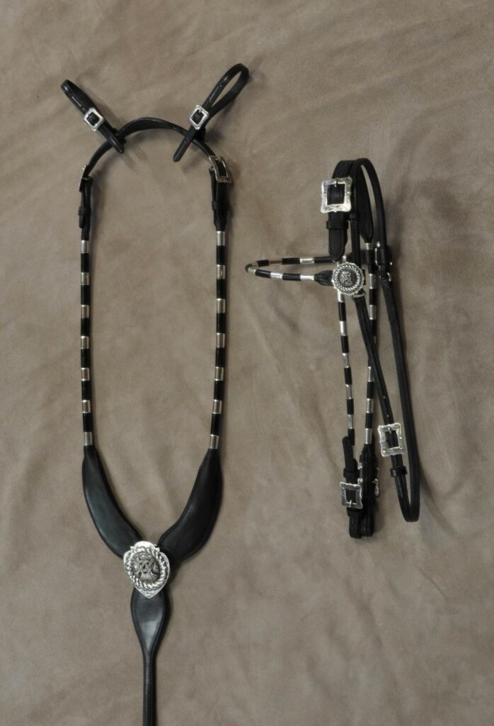 Matching Standing Martingale and browband headstall